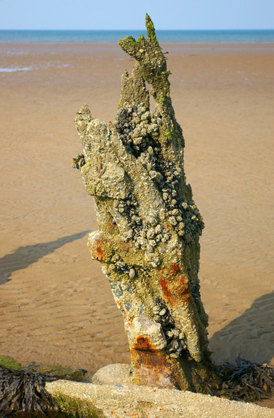 Click now to see this image full size.