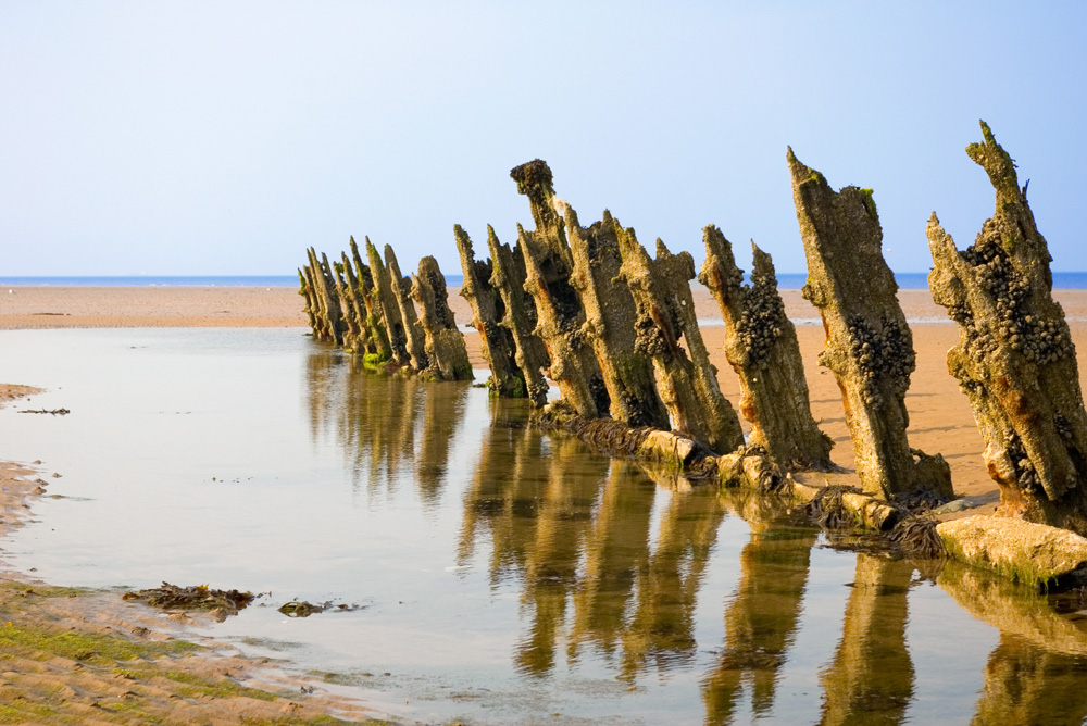 Click now to see this image full size.