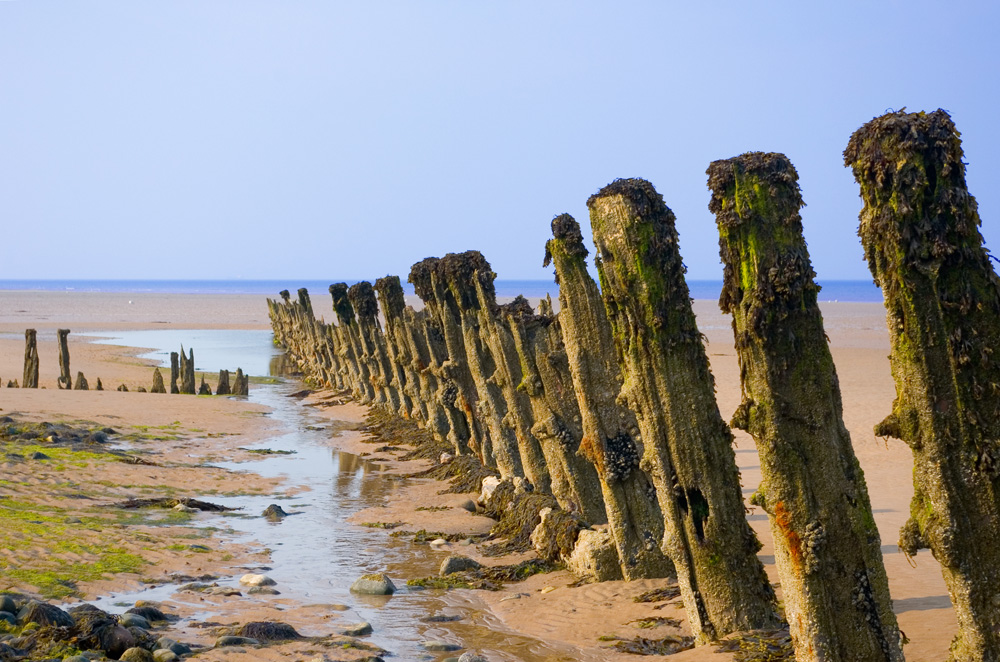 Click now to see this image full size.