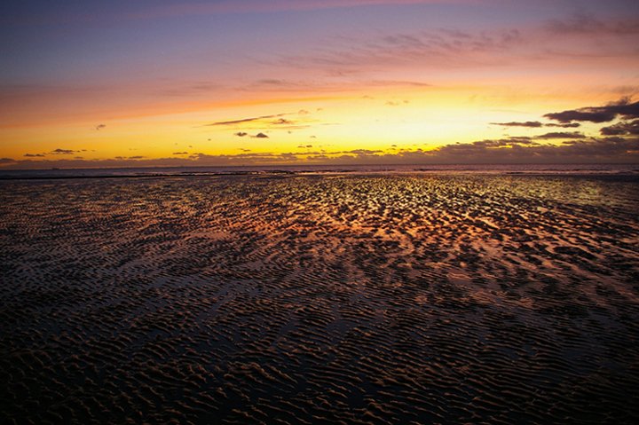 Click now to see this image full size.