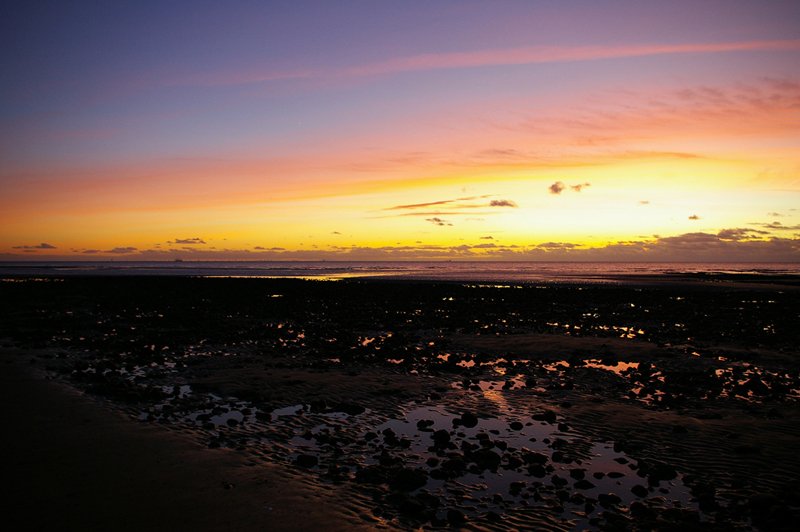 Click now to see this image full size.