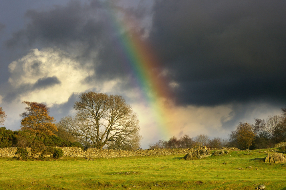 Click now to see this image full size.