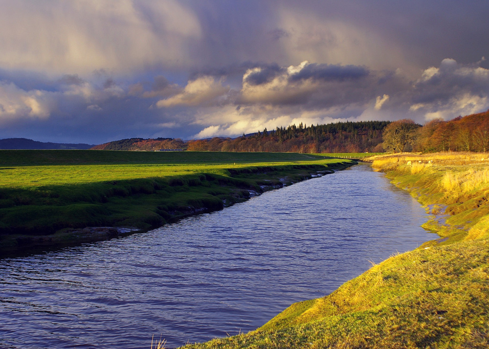 Click now to see this image full size.