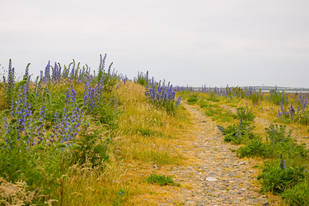 Click now to see this image full size.