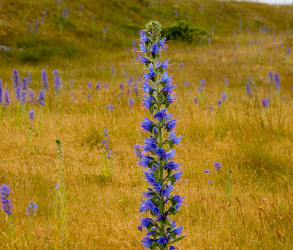 Click now to see this image full size.