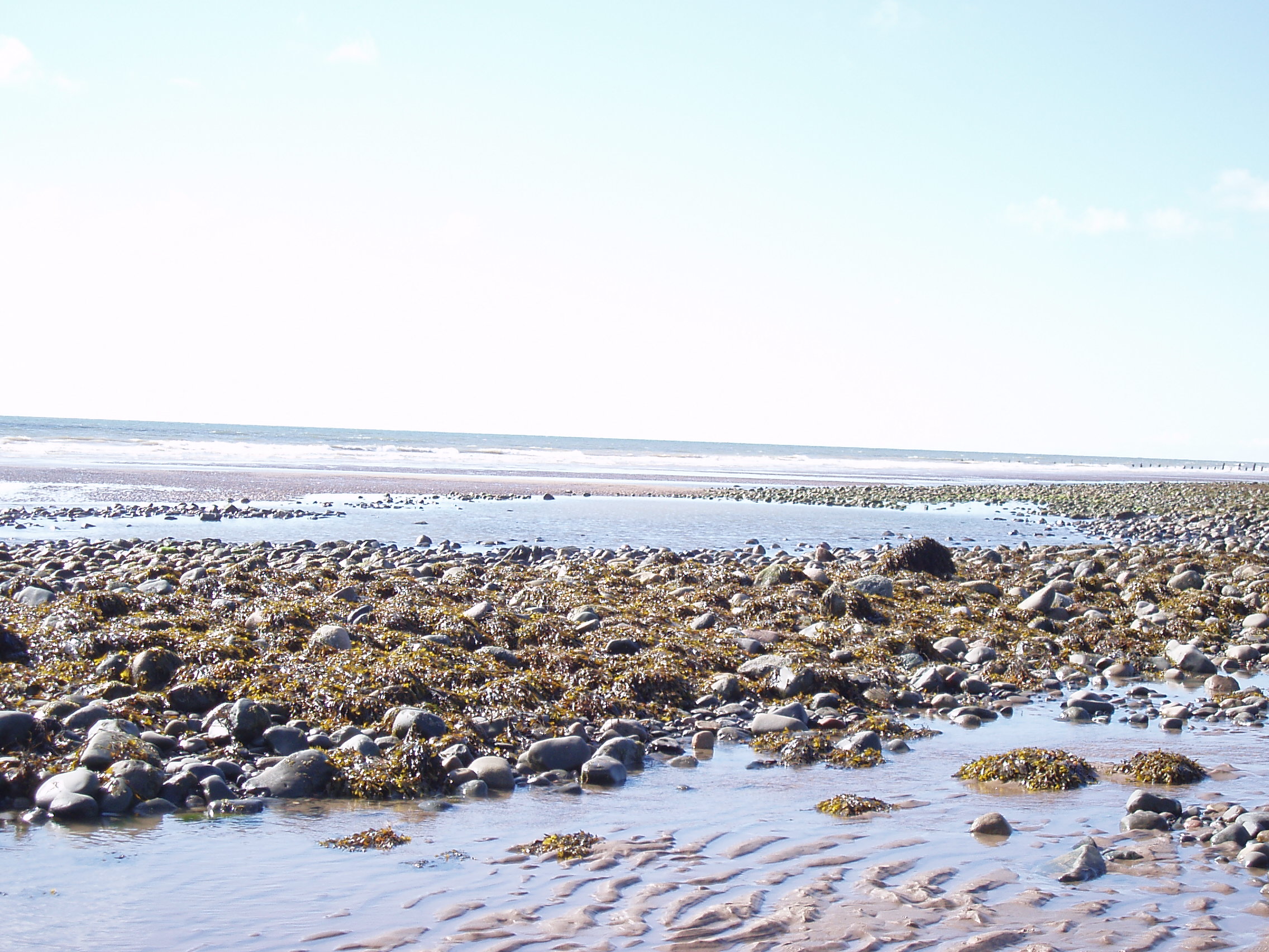 Click now to see this image full size.