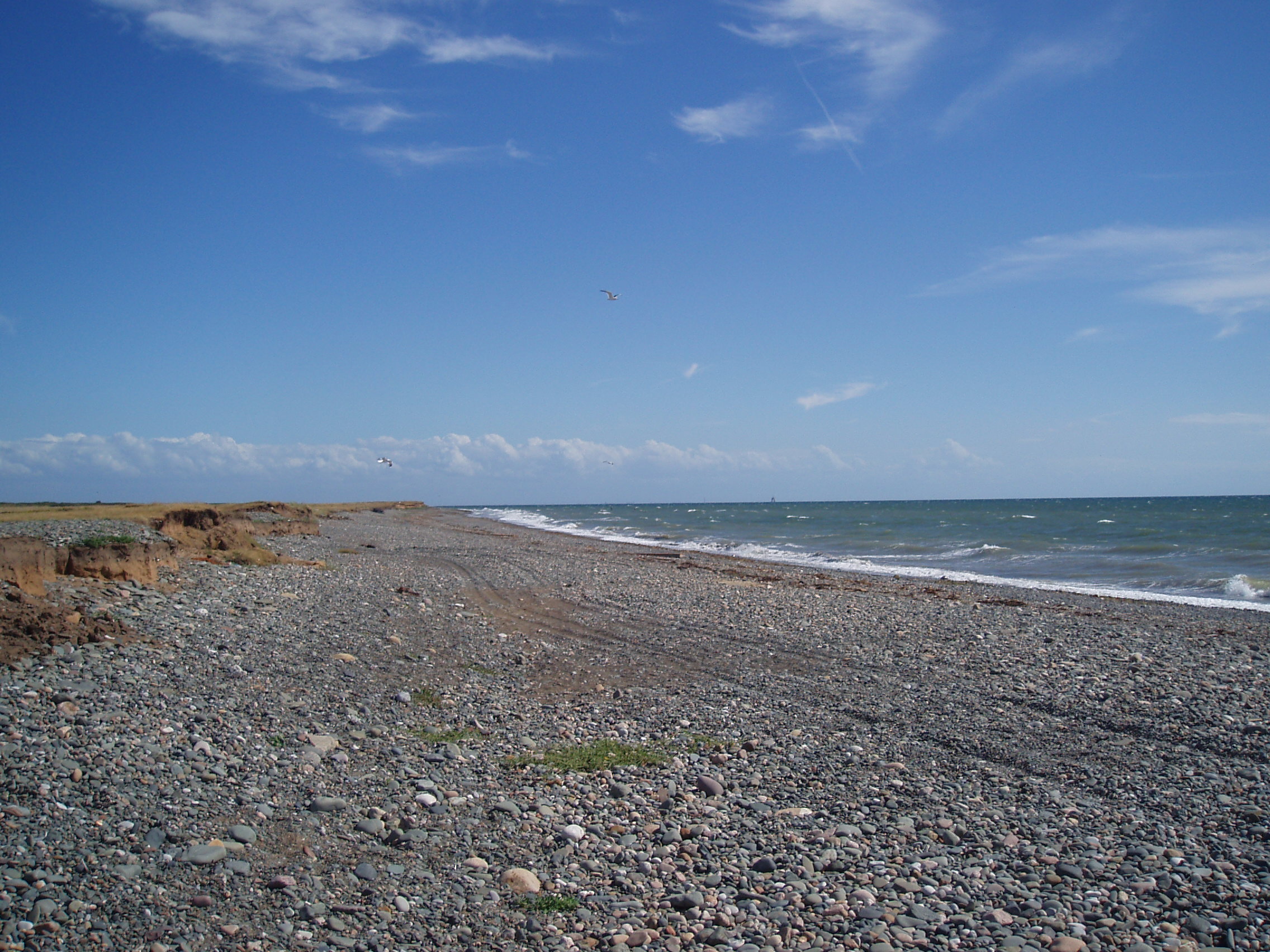 Click now to see this image full size.