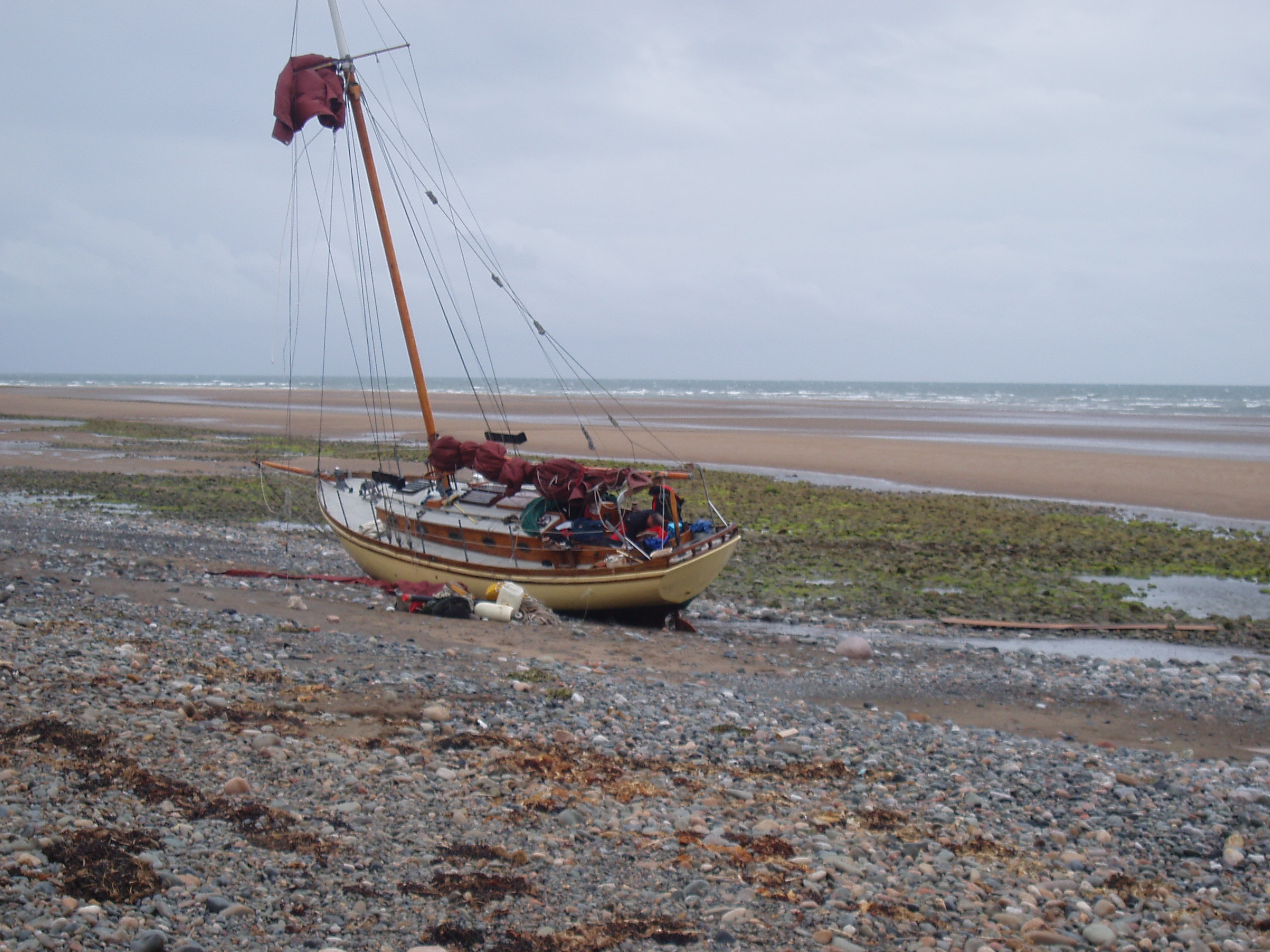 Click now to see this image full size.