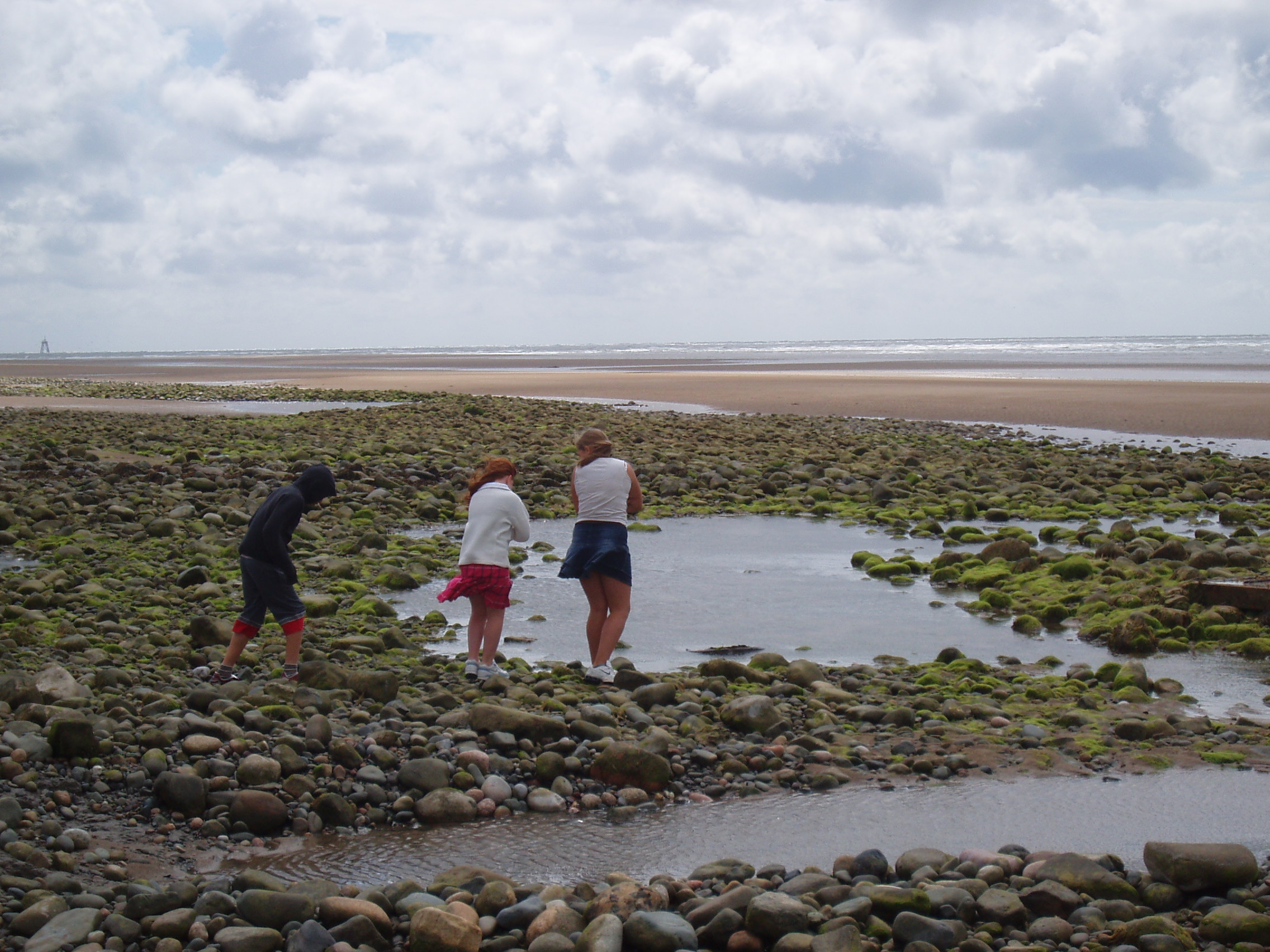 Click now to see this image full size.