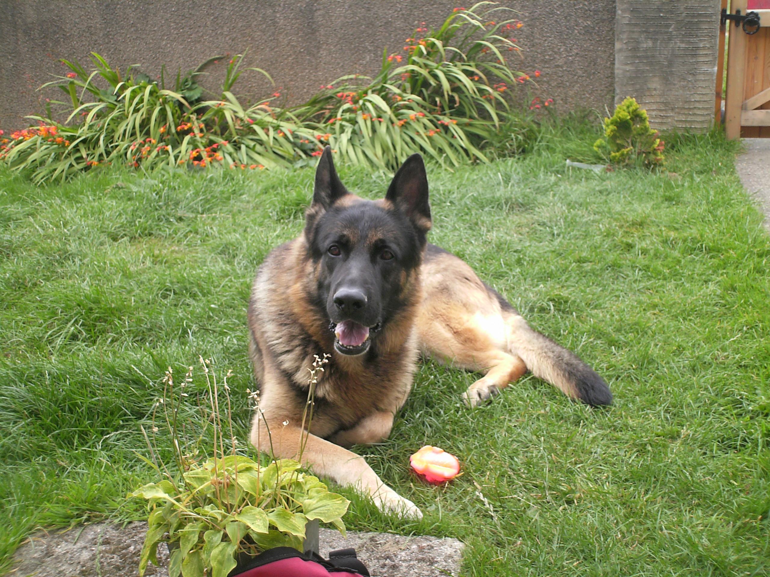 Click now to see this image full size.