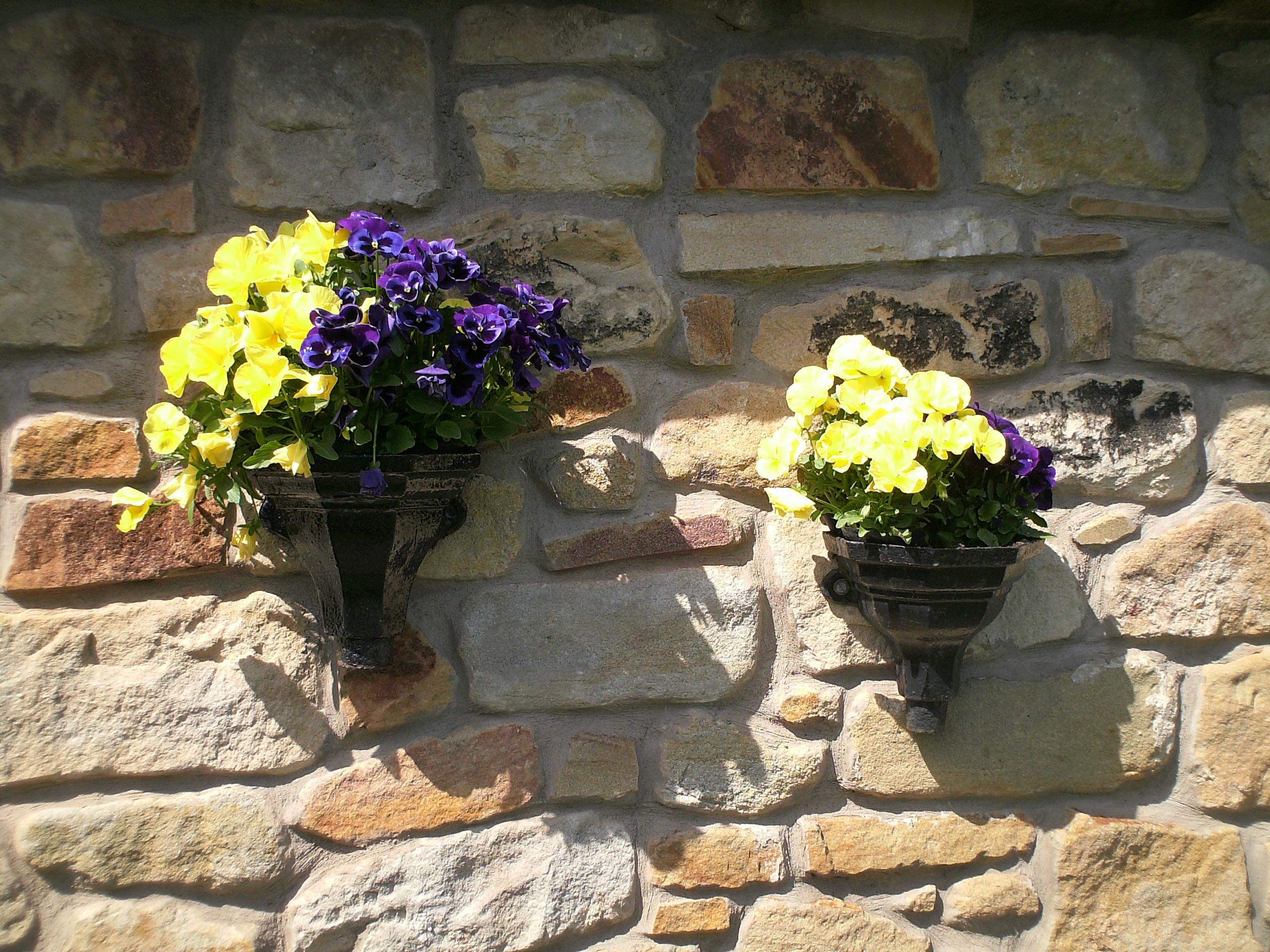 Click now to see this image full size.