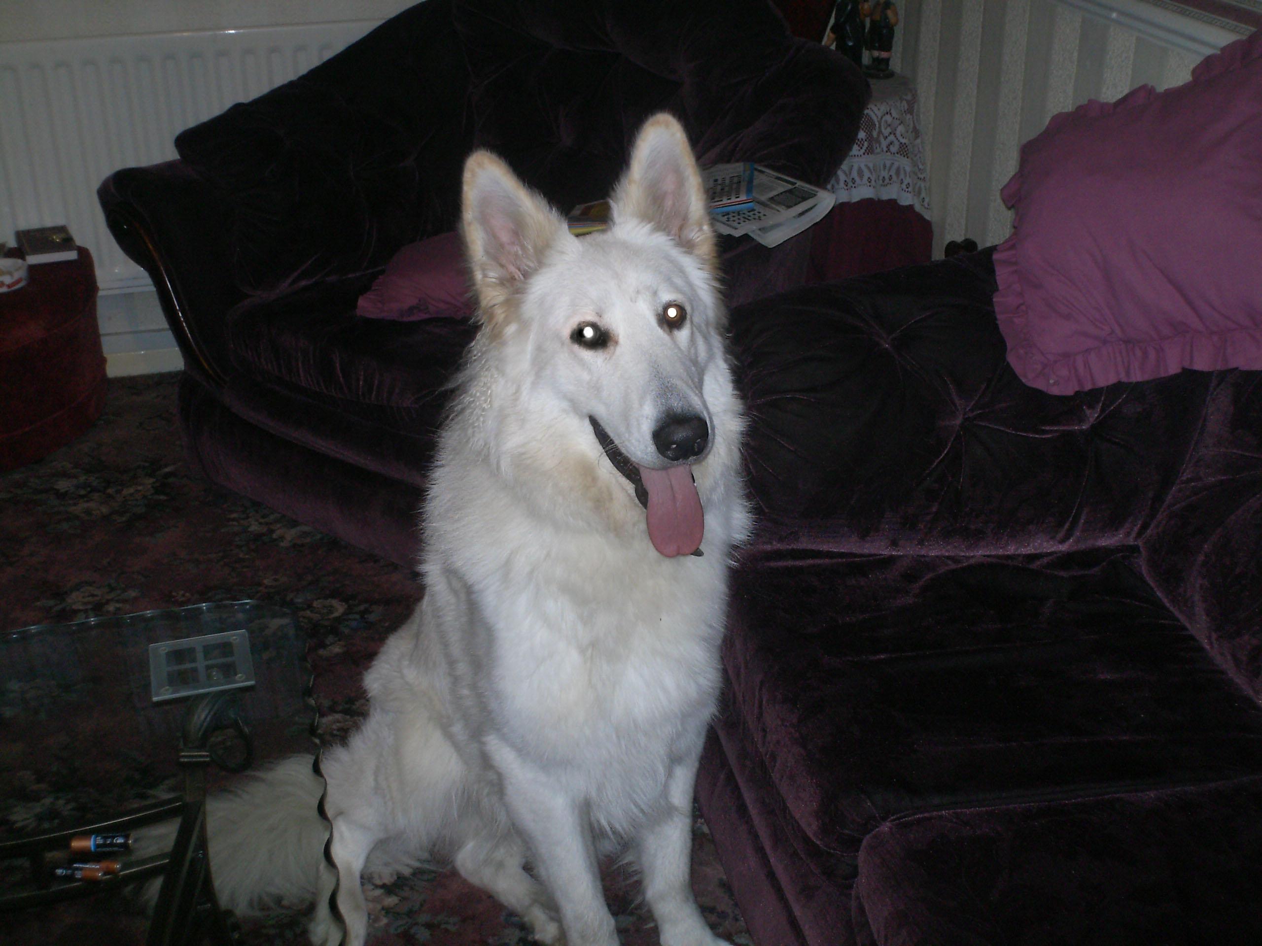 Click now to see this image full size.