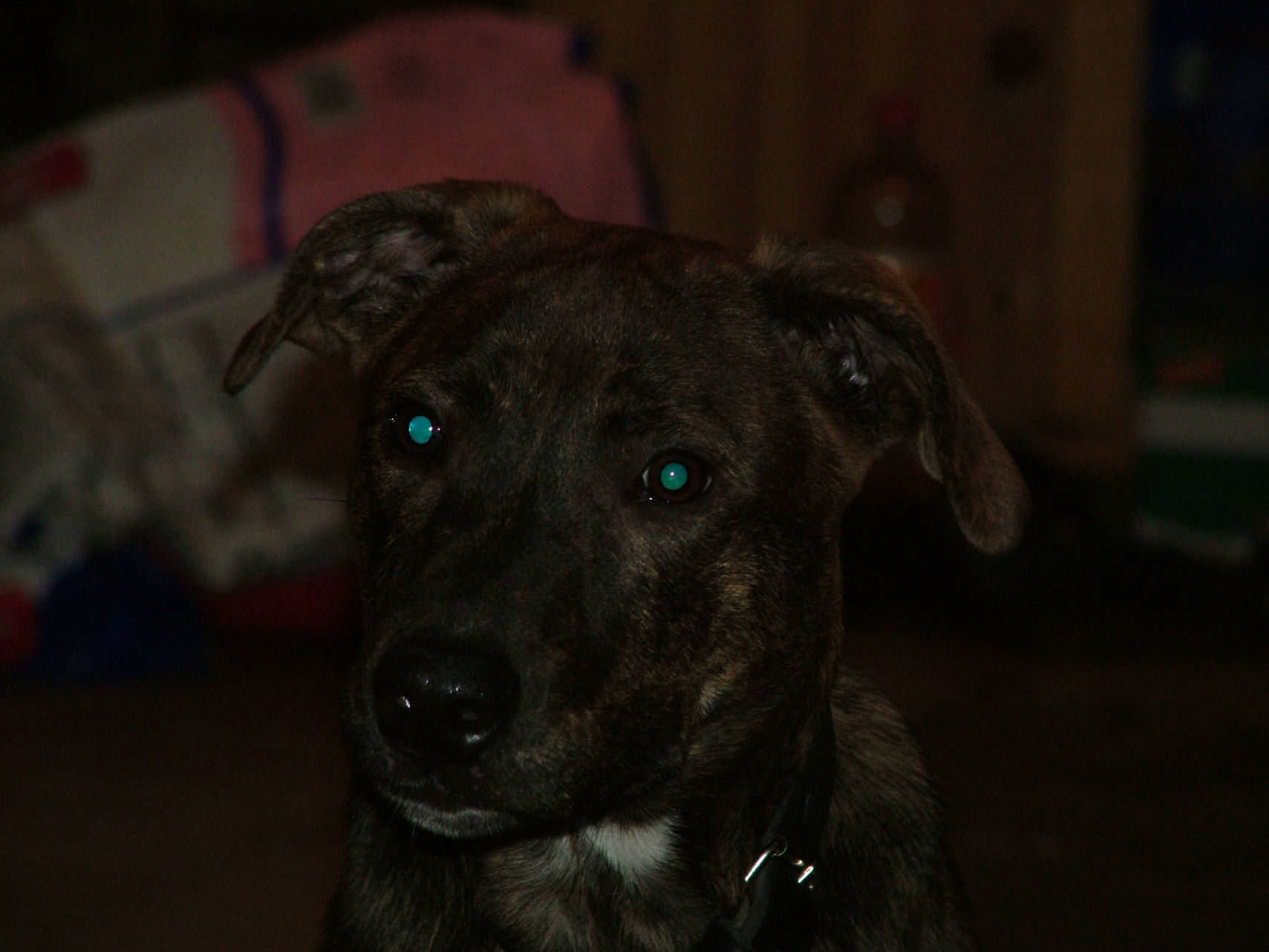 Click now to see this image full size.