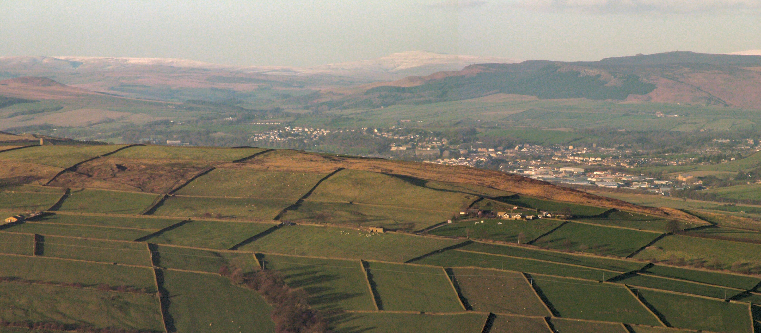 Click now to see this image full size.