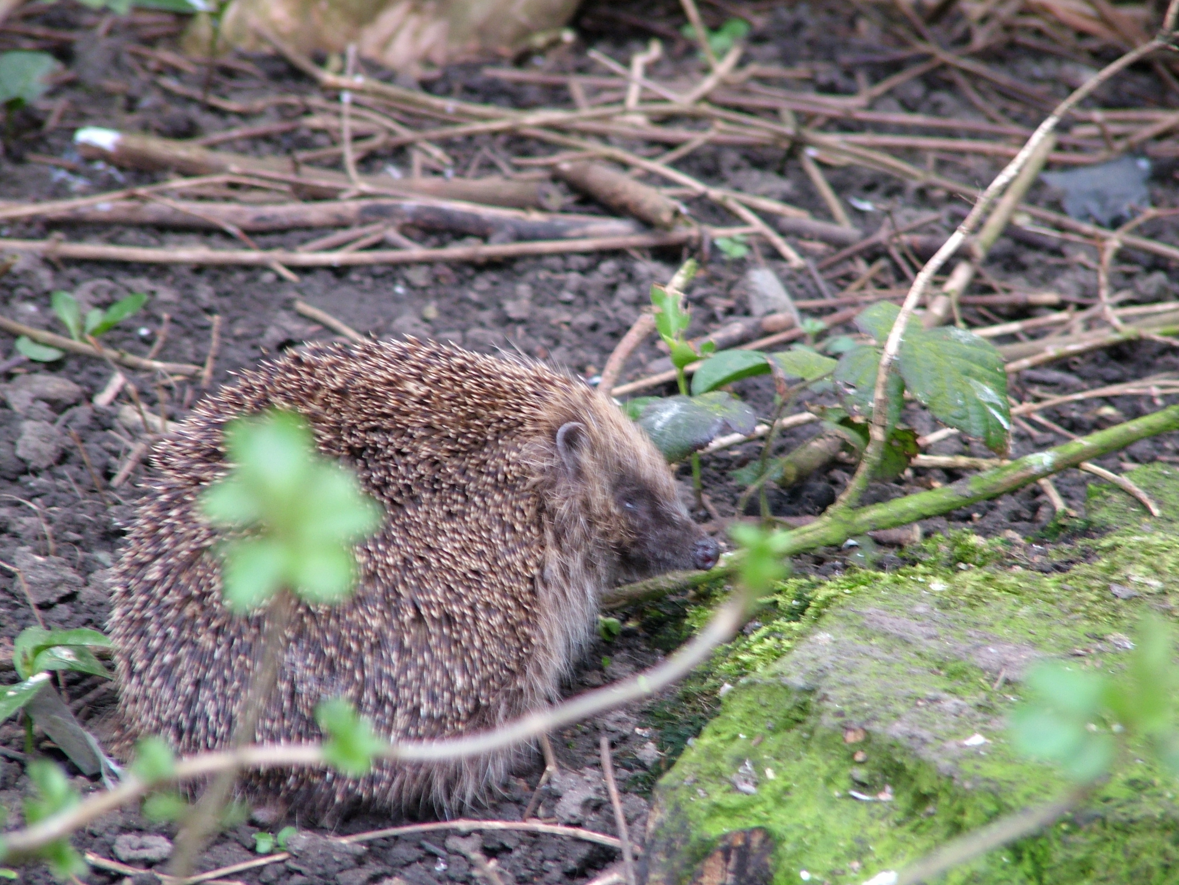 Click now to see this image full size.