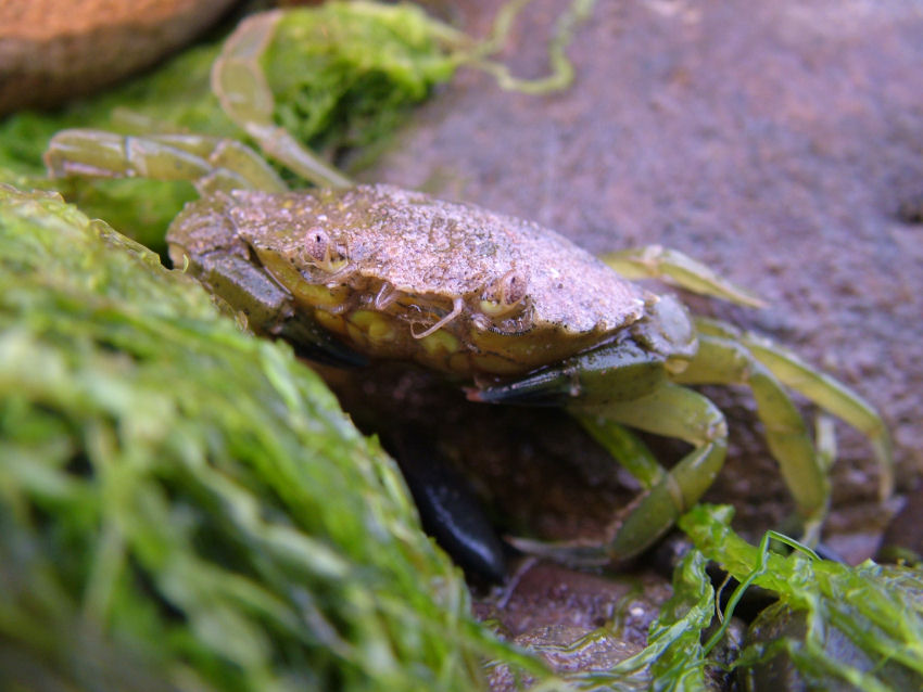 Click now to see this image full size.