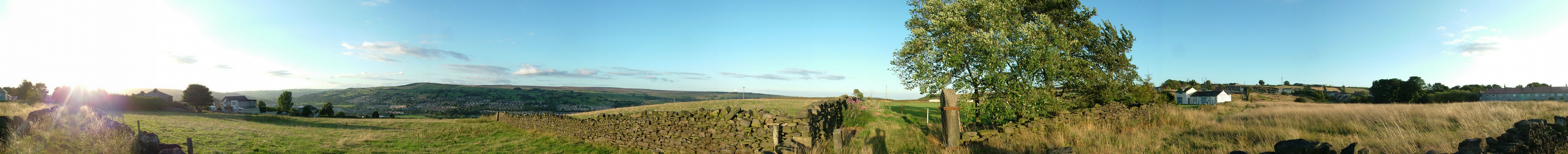 Click now to see this image full size.