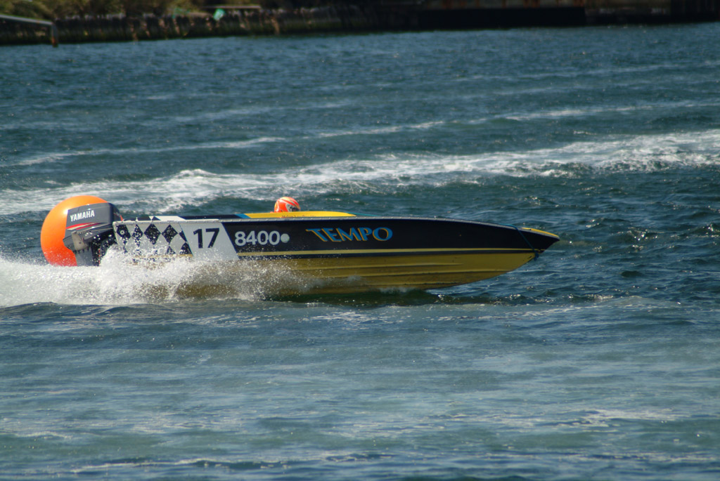 Click now to see this image full size.