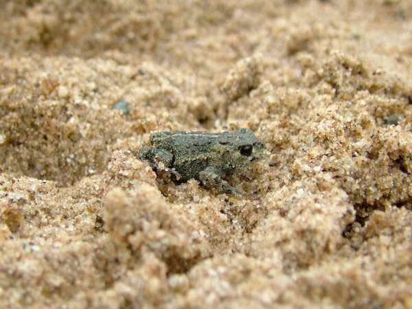 Click now to see this image full size.