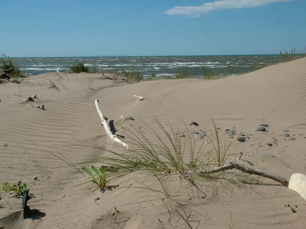 Click now to see this image full size.