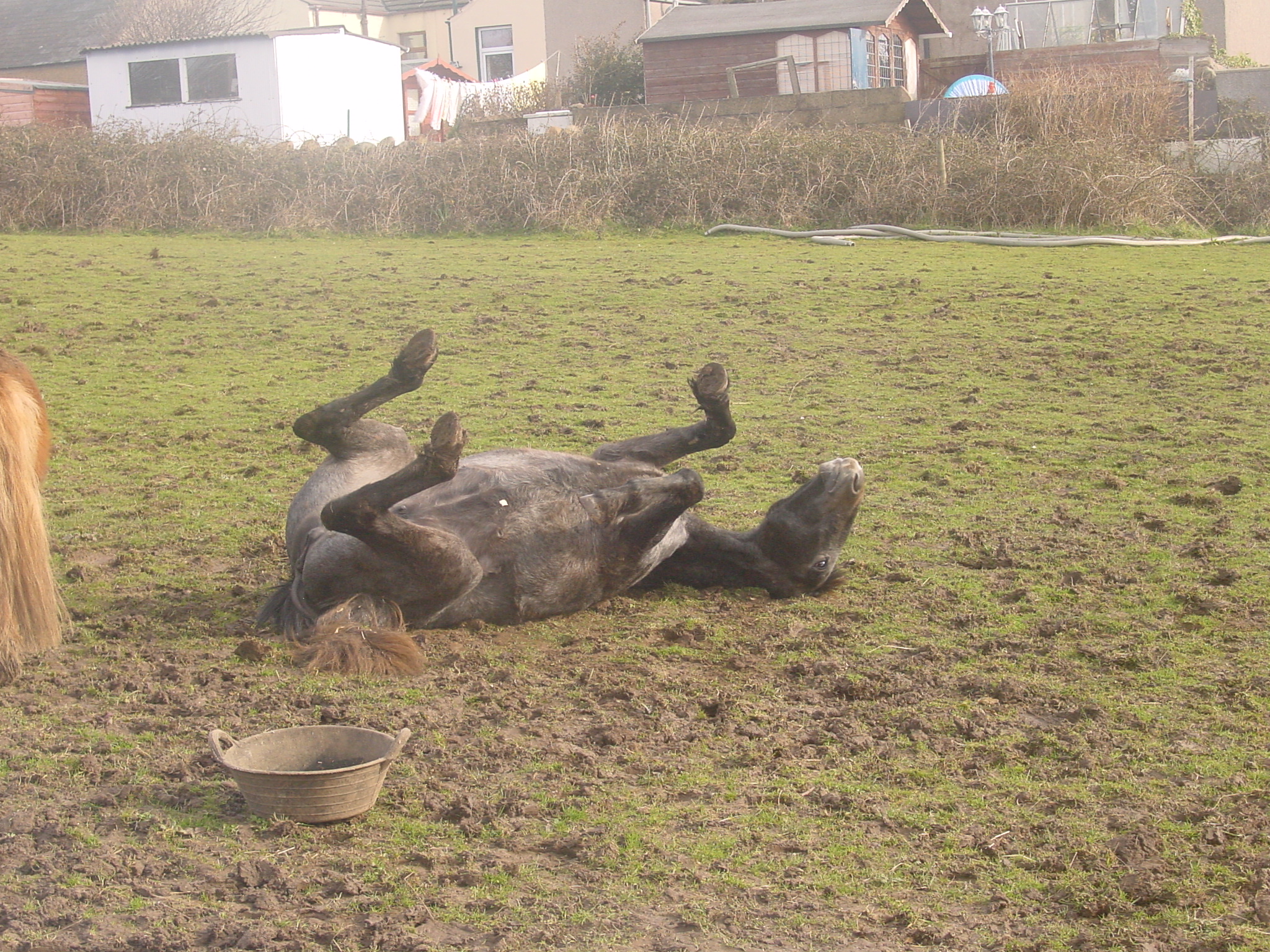 Click now to see this image full size.