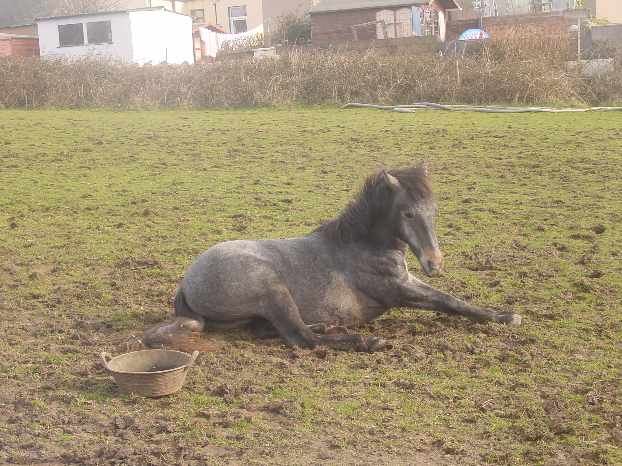 Click now to see this image full size.