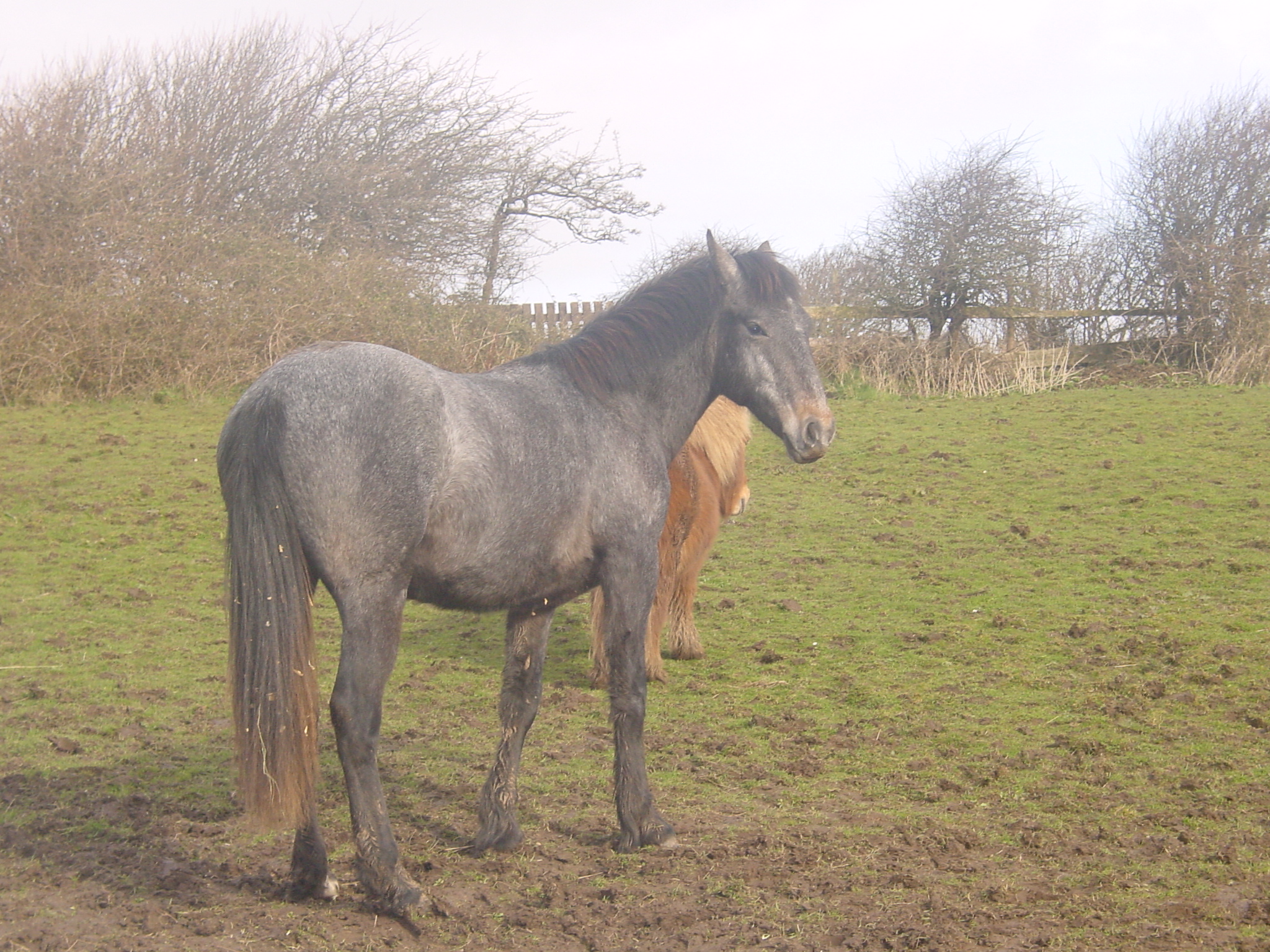 Click now to see this image full size.