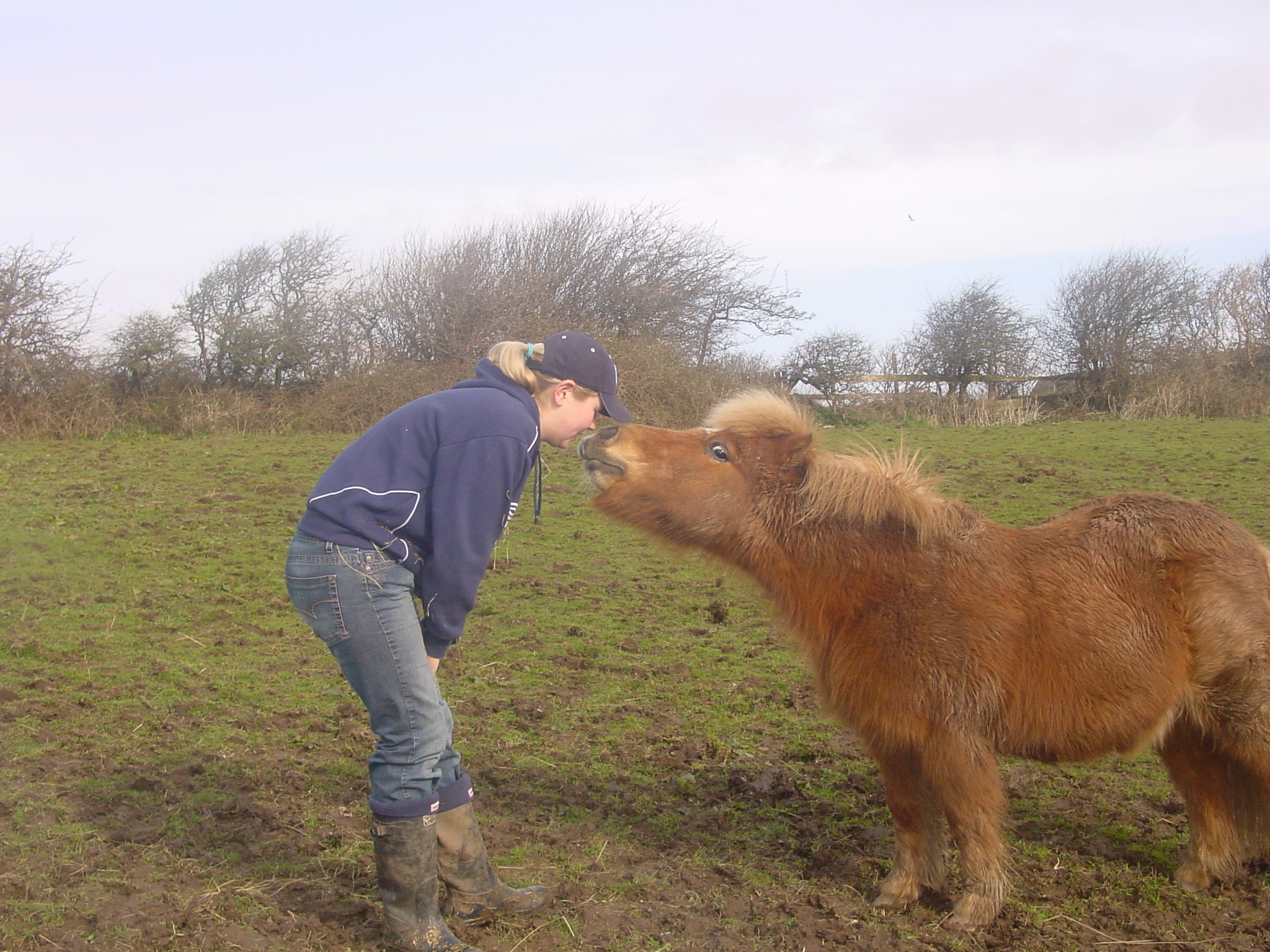 Click now to see this image full size.