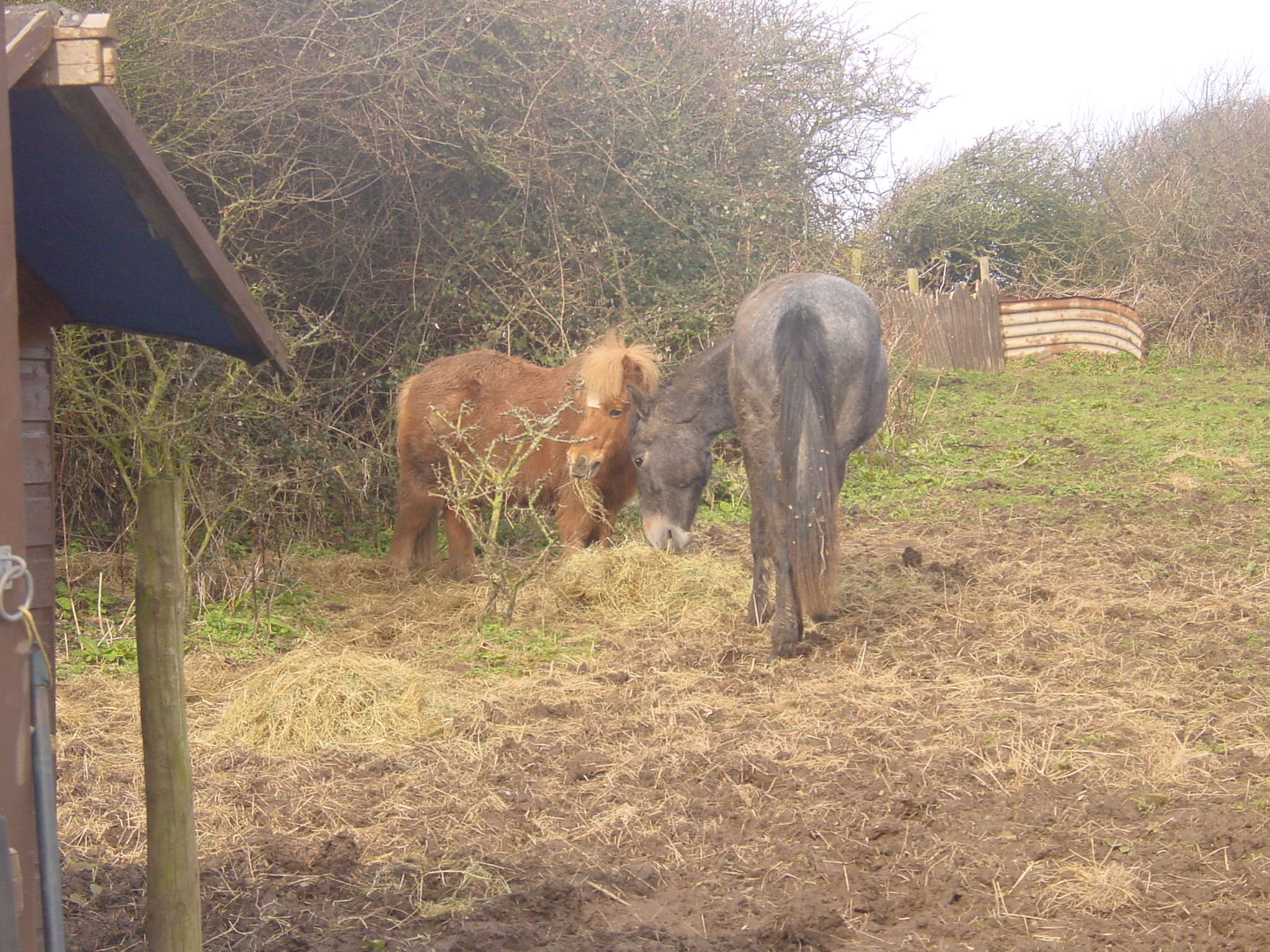 Click now to see this image full size.