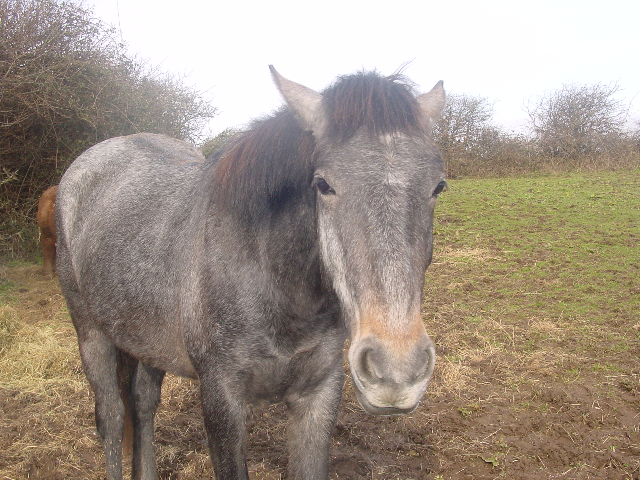 Click now to see this image full size.