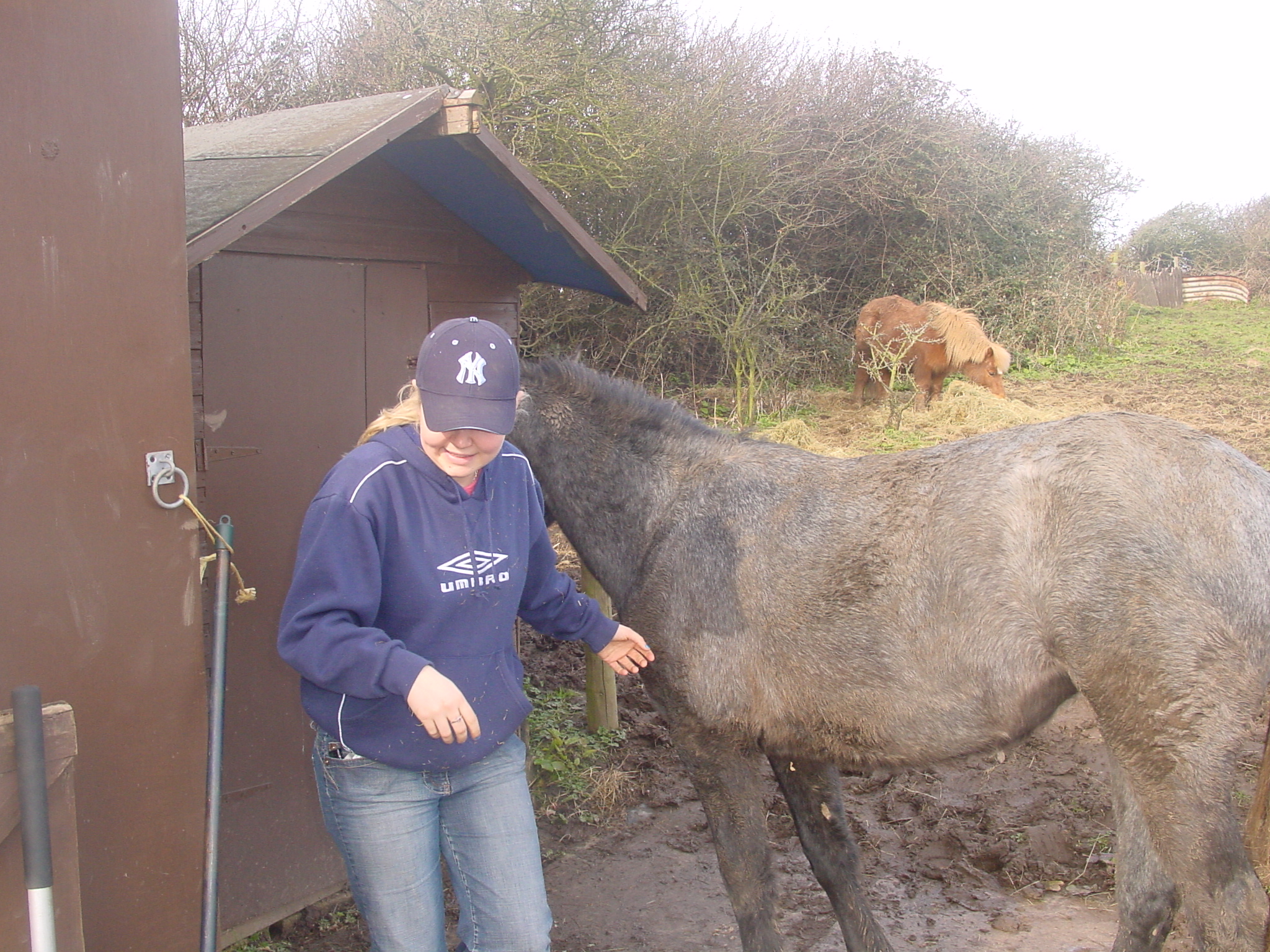 Click now to see this image full size.