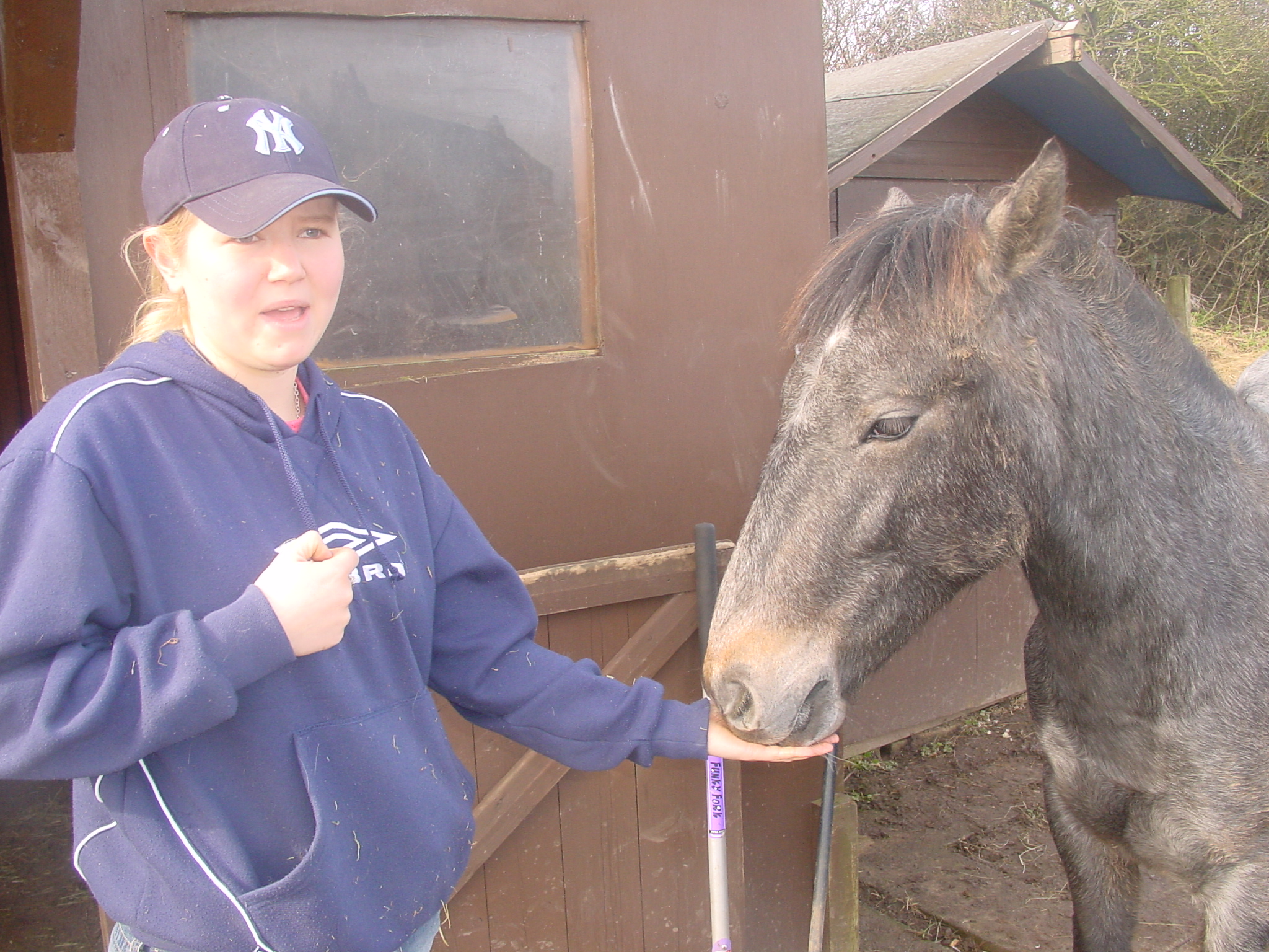 Click now to see this image full size.