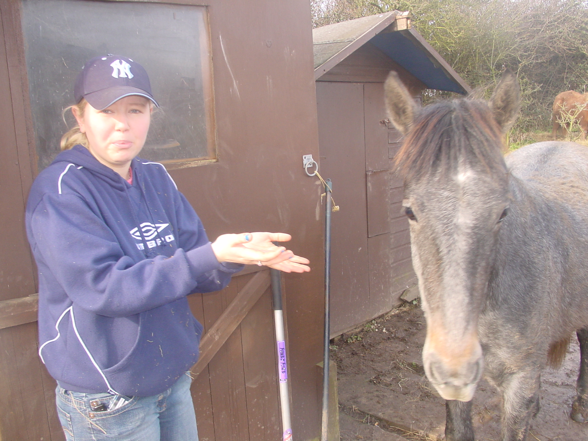 Click now to see this image full size.