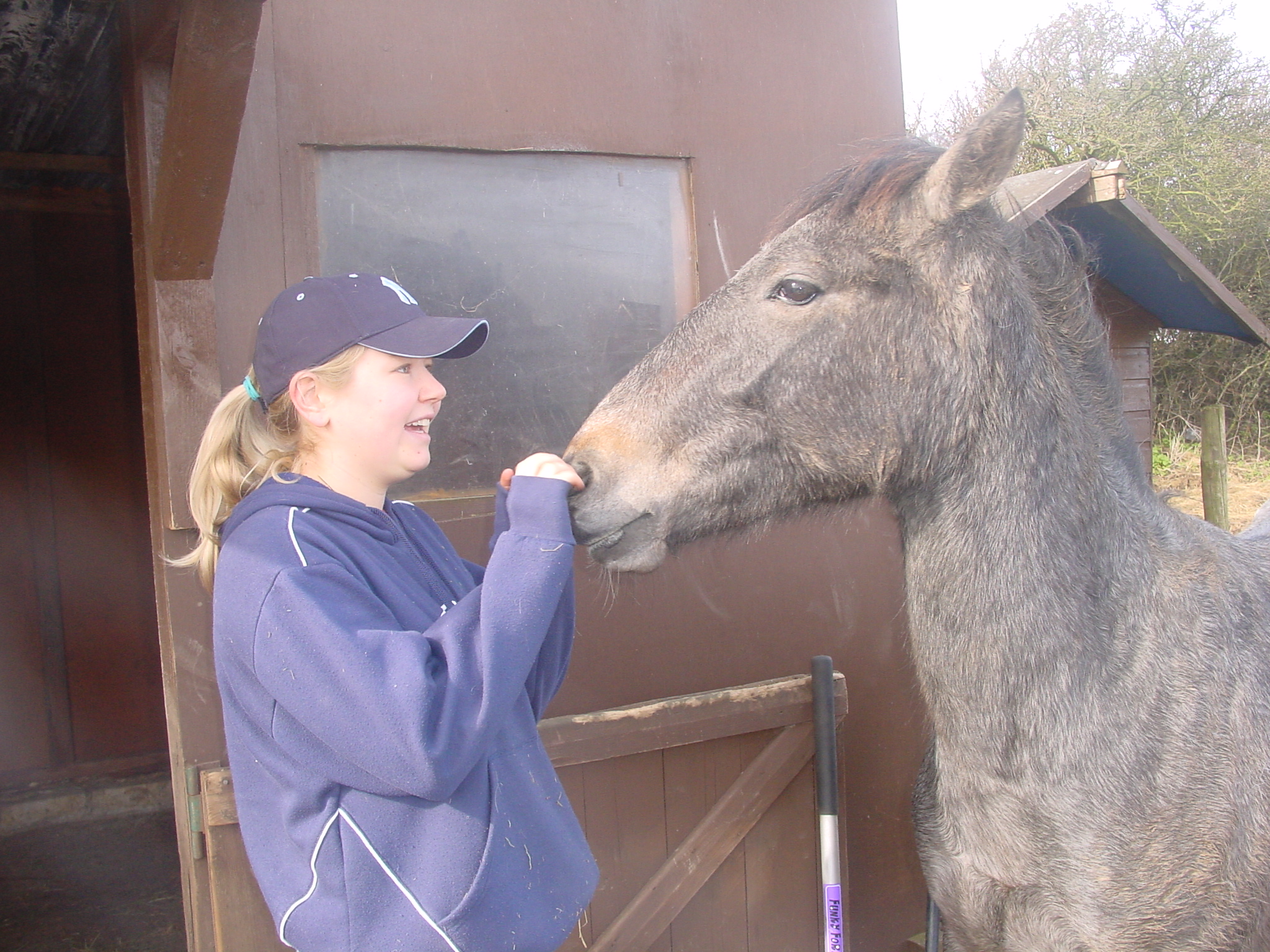 Click now to see this image full size.