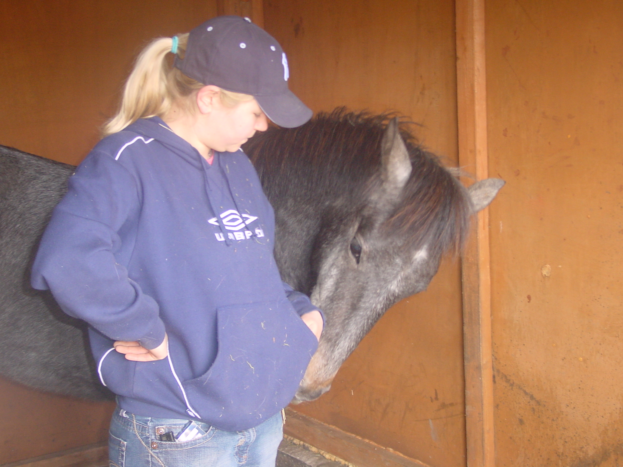 Click now to see this image full size.