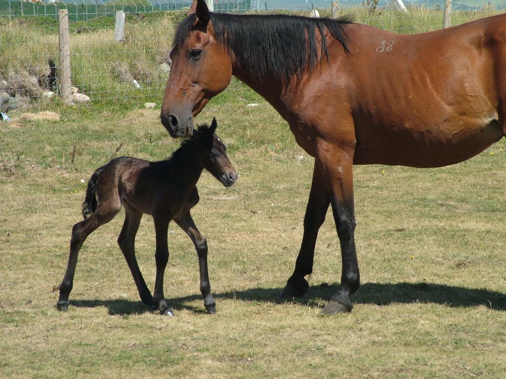 Click now to see this image full size.