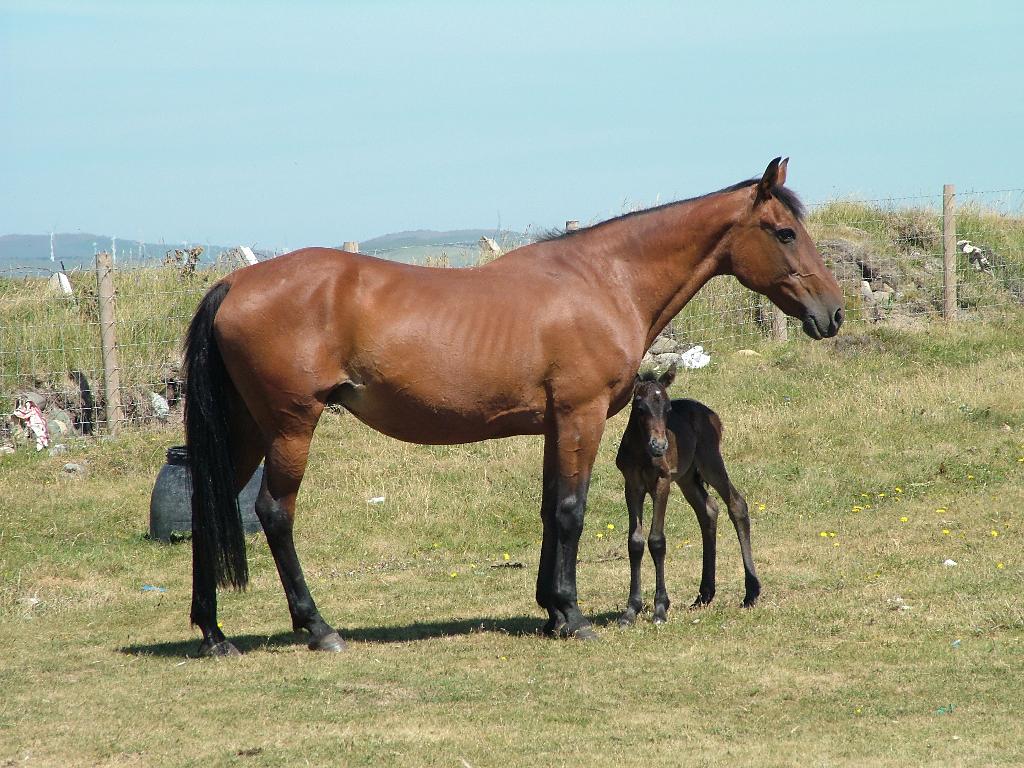 Click now to see this image full size.