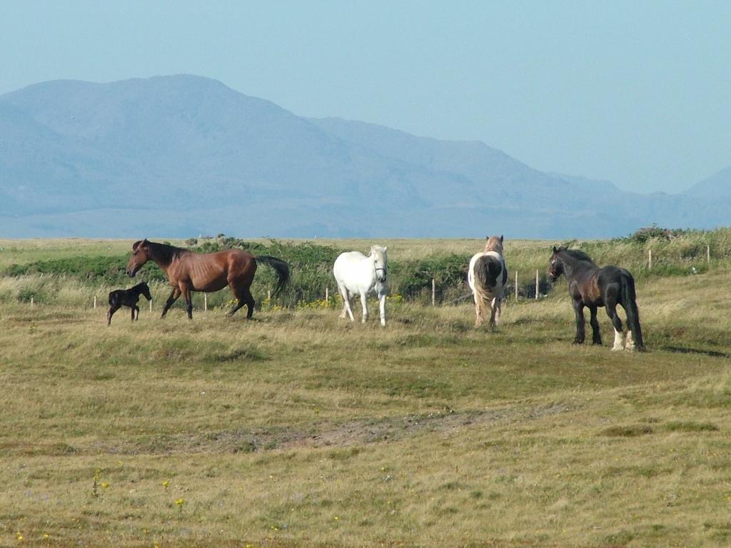 Click now to see this image full size.