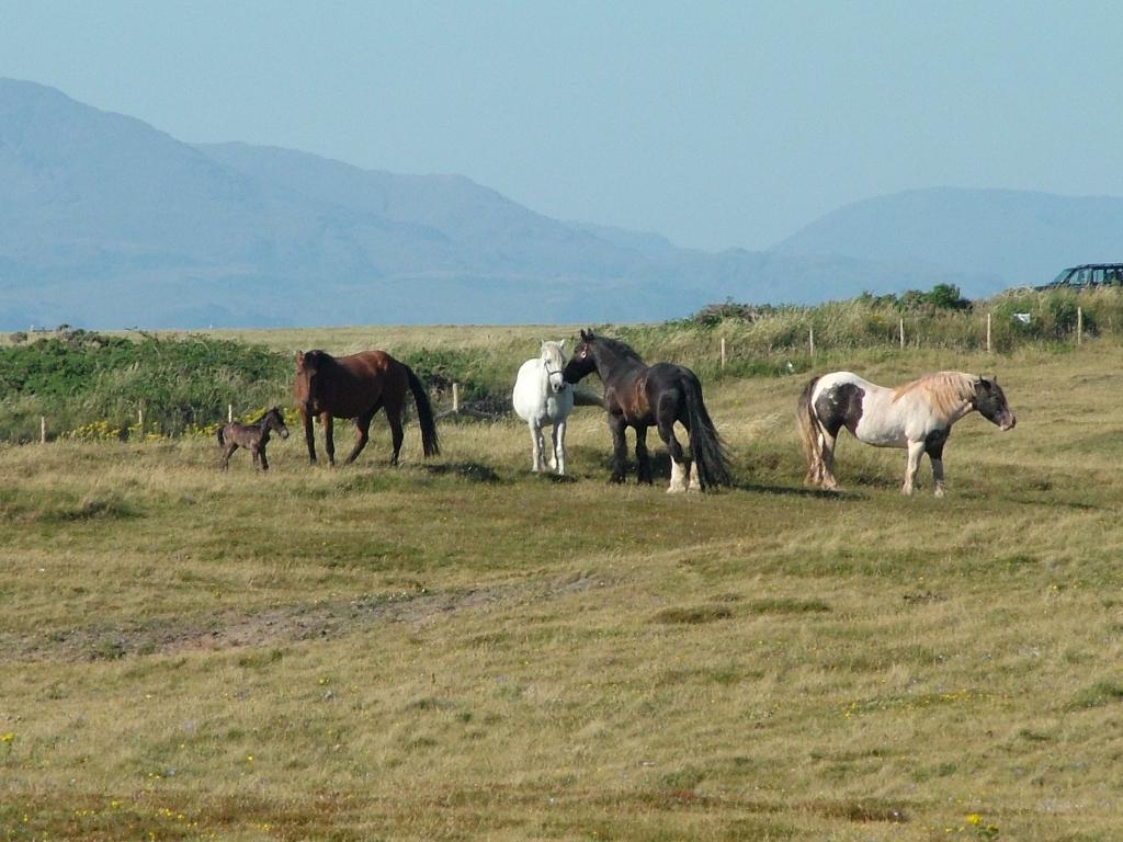 Click now to see this image full size.