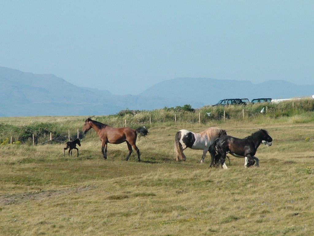 Click now to see this image full size.