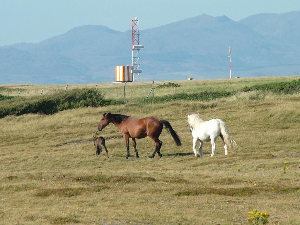 Click now to see this image full size.