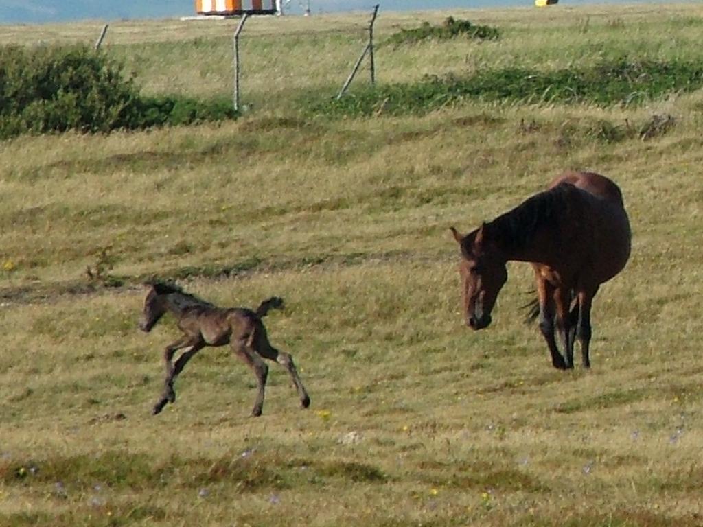 Click now to see this image full size.