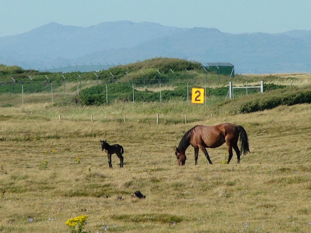 Click now to see this image full size.