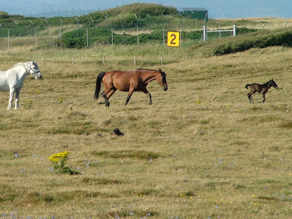 Click now to see this image full size.