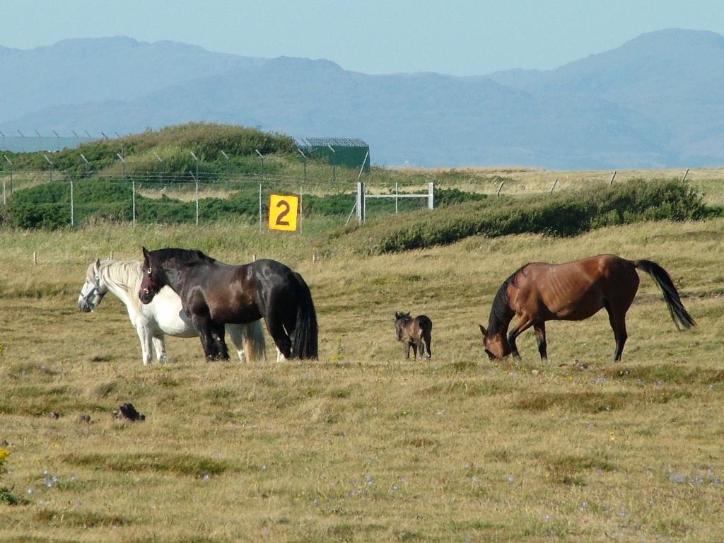 Click now to see this image full size.