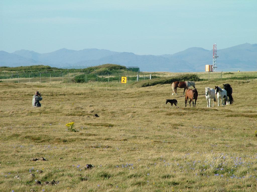 Click now to see this image full size.