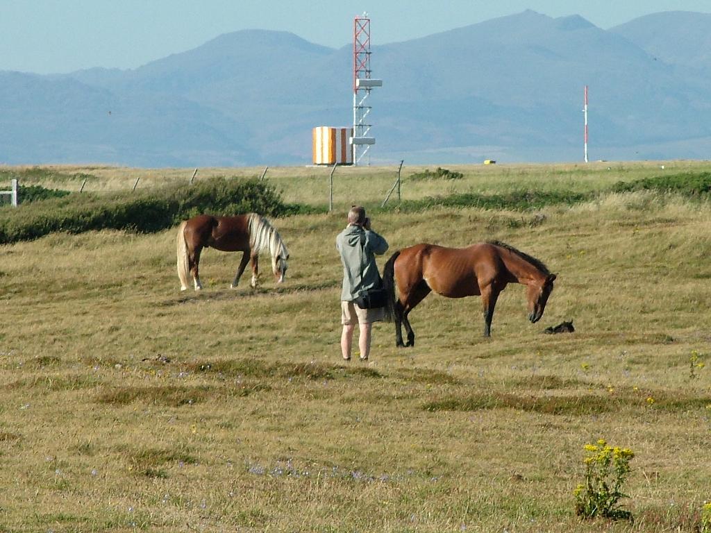 Click now to see this image full size.