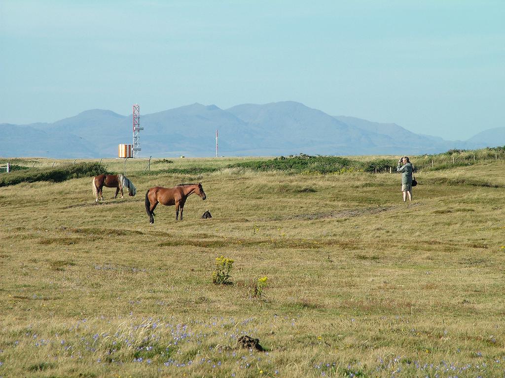 Click now to see this image full size.