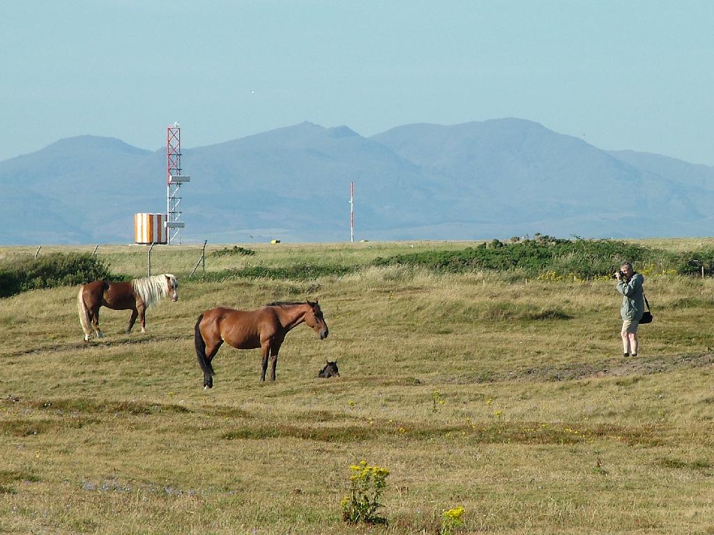 Click now to see this image full size.