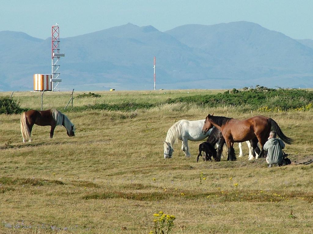 Click now to see this image full size.